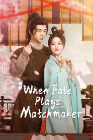 When Fate Plays Matchmaker (2024)